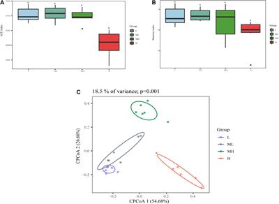 Effect of Dietary Protein Levels on Dynamic Changes and Interactions of Ruminal Microbiota and Metabolites in Yaks on the Qinghai-Tibetan Plateau